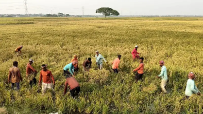 প্রথম আলোর ফটো সিরিজে বাংলাদেশের নানা দিক