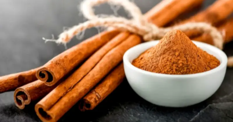 খালি পেটে দারুচিনি পানি: উপকার ও সতর্কতা