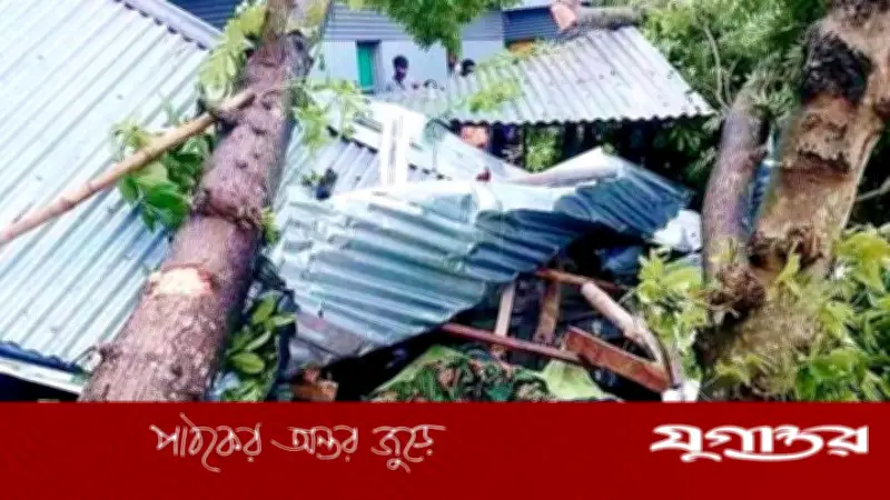 জামালপুরে কালবৈশাখী ঝড়ে একই পরিবারের ৩ জন নিহত
