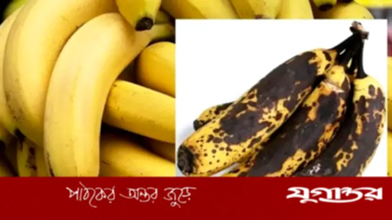 গরমেও কলা পচবে না, জেনে নিন সংরক্ষণের ৬ কার্যকরী উপায়