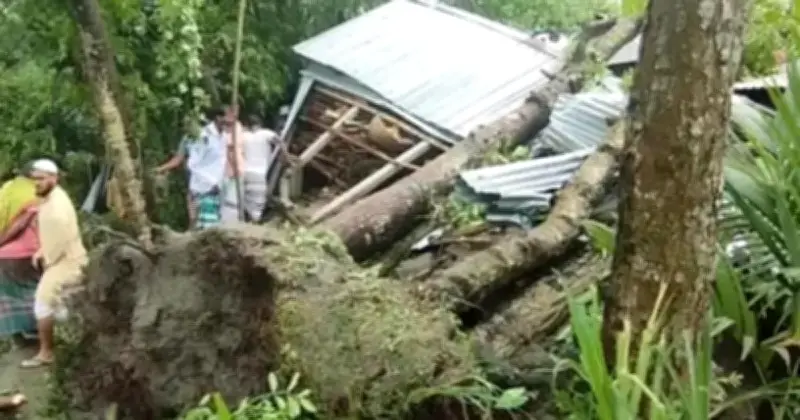 জামালপুরে কালবৈশাখী ঝড়ে মা-মেয়ের মৃত্যু