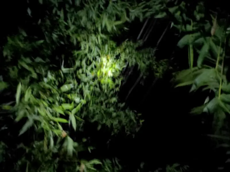 মতলব দক্ষিণে ১৮ ঘণ্টা বিদ্যুৎ নেই, ৭৪ হাজার মানুষ ভোগান্তিতে