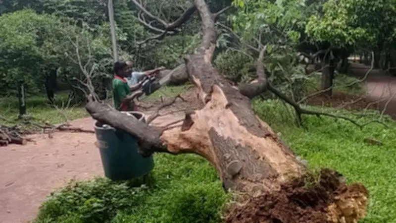 বাংলাদেশের নতুন শিক্ষানীতি ঘোষণা: কী আসছে?