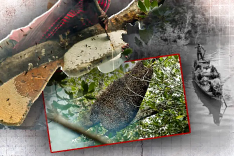 প্রথম আলোর ভিডিও: বাংলাদেশের চারটি বিষয়