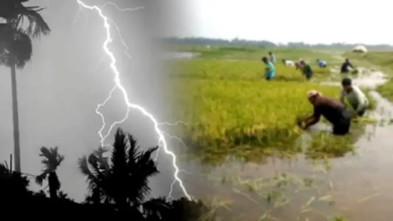 ইয়াবাসহ মাদক কারবারি আটক, সুনামগঞ্জে বজ্রপাতে নিহত ৩