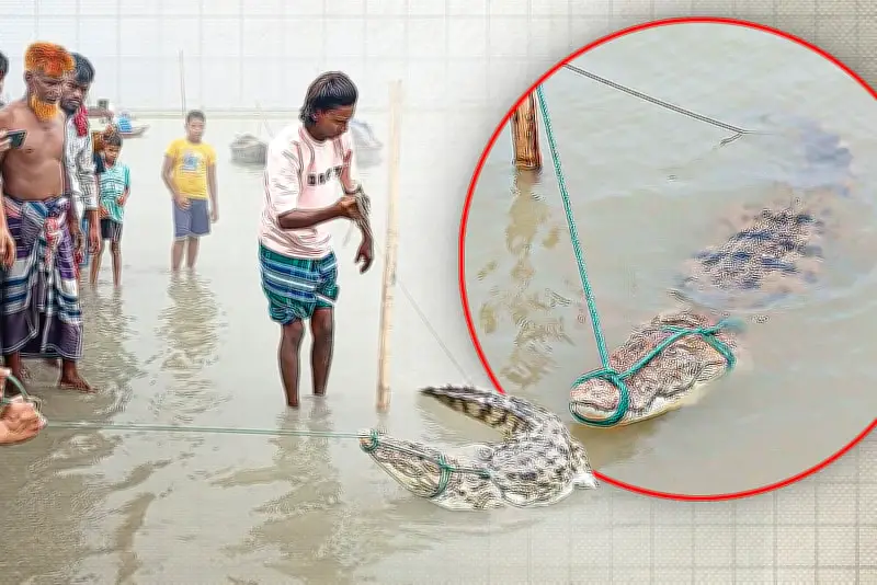 বাংলাদেশের নতুন ভিডিও কন্টেন্ট নিয়ে আলোচনা