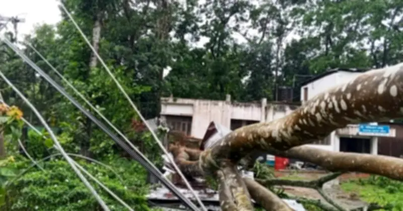 কালবৈশাখী ঝড়ে সাত জেলায় ১০ জনের মৃত্যু, ব্যাপক ক্ষয়ক্ষতি