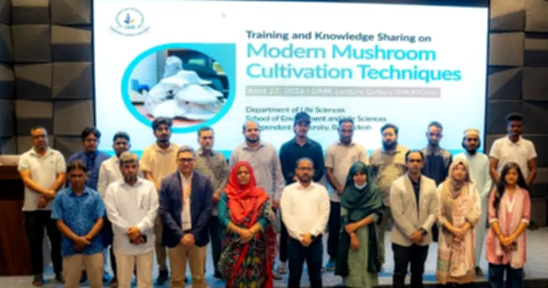 মাশরুম খাতের বাধা দূর করতে আইইউবির নতুন পদ্ধতি