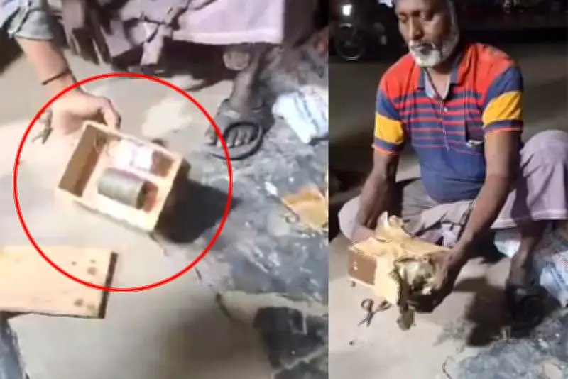 বাংলাদেশের নতুন শিক্ষানীতি ঘোষণা