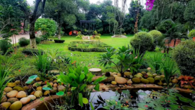 বর্ষাকালে ড্যাফোডিল ক্যাম্পাসের মোহনীয় রূপ ও অনুভূতি