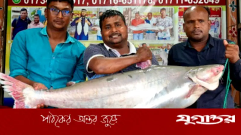 ২৫ কেজি পাঙ্গাশ মাছ ৭০ হাজার টাকায় বিক্রি