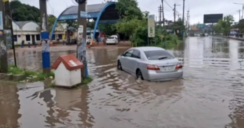 ময়মনসিংহে তিন ঘণ্টায় ৪০ মিমি বৃষ্টি, জলাবদ্ধতা ও চাষিদের বিপাকে