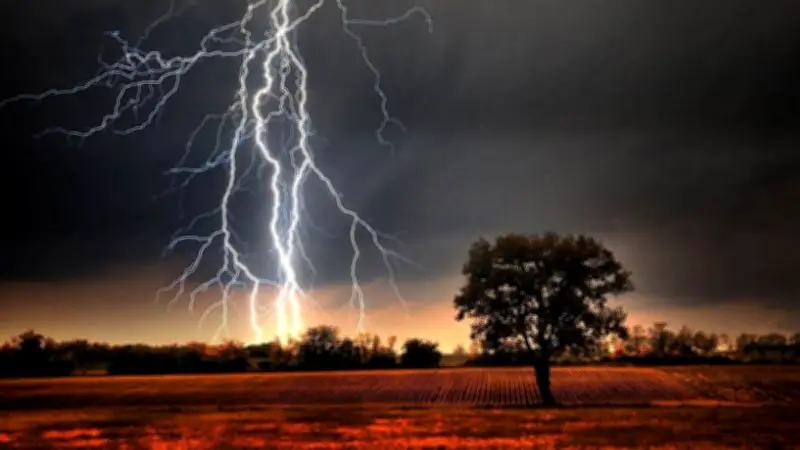 বাণিজ্যমন্ত্রীর সঙ্গে ভুটানের রাষ্ট্রদূতের বৈঠক