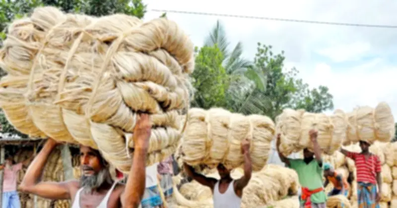 সরকারি পাটকল লিজ দেওয়া অর্থনৈতিক বাস্তবতার সাথে সামঞ্জস্যপূর্ণ