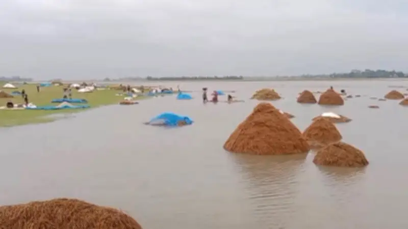 অতিবৃষ্টি ও ঢলে সুনামগঞ্জে ধান নষ্ট, ভাঙছে বাঁধ