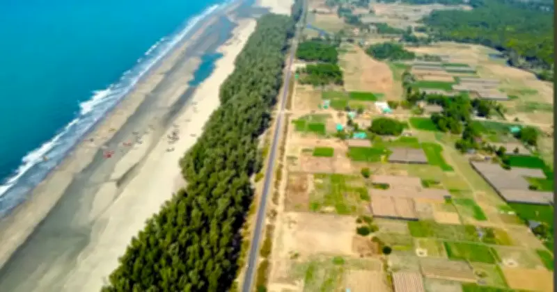 গাছ না কেটে কক্সবাজারের মেরিন ড্রাইভ সড়ক প্রশস্তকরণের নির্দেশ প্রধানমন্ত্রীর