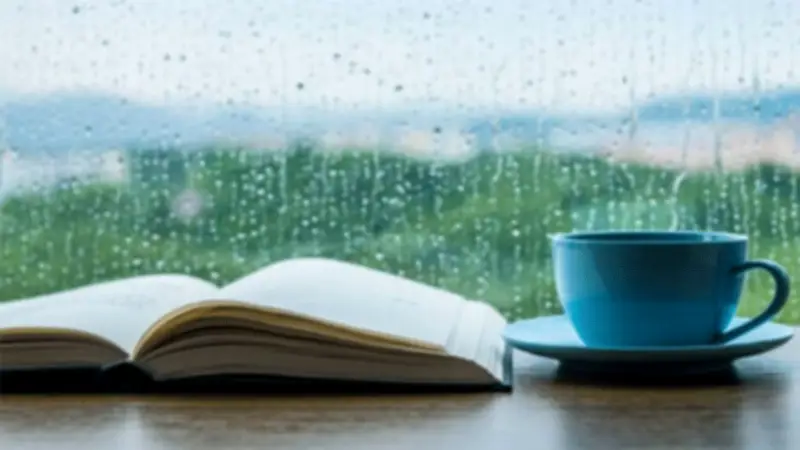 টানা ৫ দিন বৃষ্টির আভাস, বিশ্বকাপে ড্রোন হামলার শঙ্কা