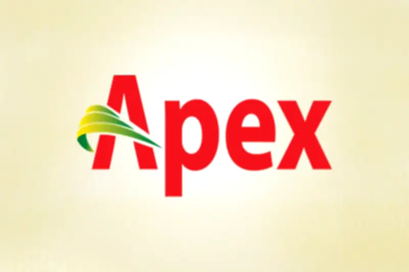 এপেক্স ফুটওয়্যারের ব্যবসা ১৪% বেড়ে ৬১৬ কোটি টাকা