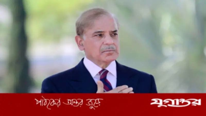 দুর্নীতি মামলায় শাহবাজ শরিফের মেয়ে ও জামাতার জামিন