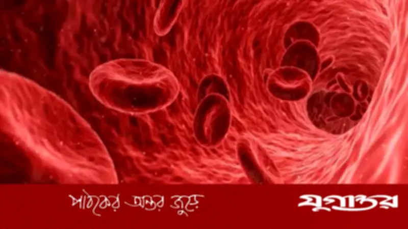 আয়রন ঘাটতি মেটাতে ডাল-দই-ছোলার পরামর্শ কারিনার পুষ্টিবিদের