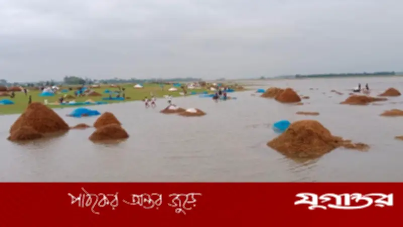 সুনামগঞ্জে উজানের ঢল ও অতিবৃষ্টিতে হাওড়ের ফসল নাজুক, কৃষক উৎকণ্ঠিত