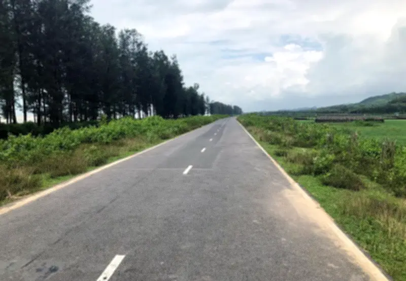 গাছ না কেটে কক্সবাজার মেরিন ড্রাইভ প্রশস্তকরণের নির্দেশ প্রধানমন্ত্রীর