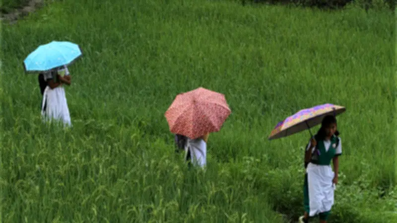 বাংলার প্রকৃতির নানা রূপ: শালিক থেকে জামরুল, বৃষ্টি আর নেট ব্যাগ