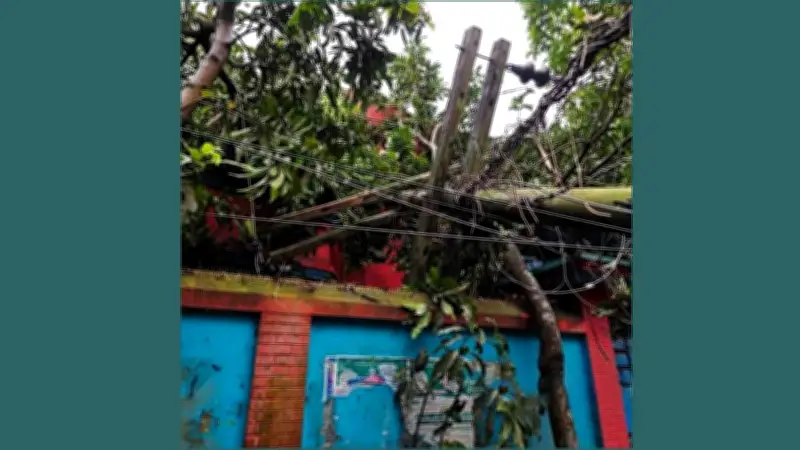 কালবৈশাখীতে কুমিল্লায় ৩৫ ট্রান্সফরমার নষ্ট, ২৭ হাজার গ্রাহক বিদ্যুৎবিচ্ছিন্ন