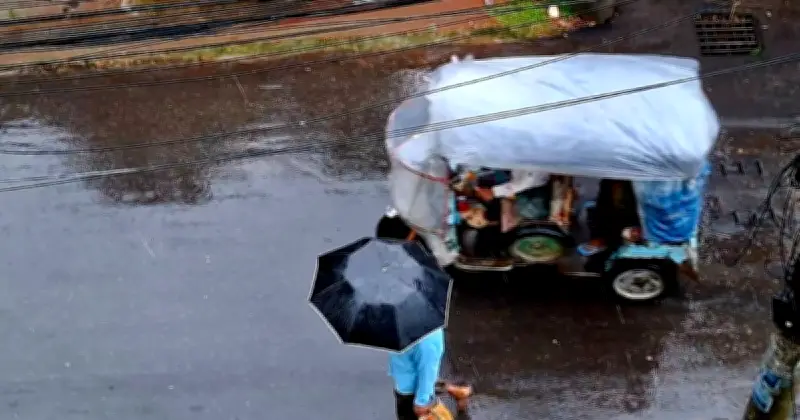 ময়মনসিংহে ভারী বৃষ্টি ও ঝোড়ো হাওয়ায় জলাবদ্ধতা ও ফসলের ক্ষতি