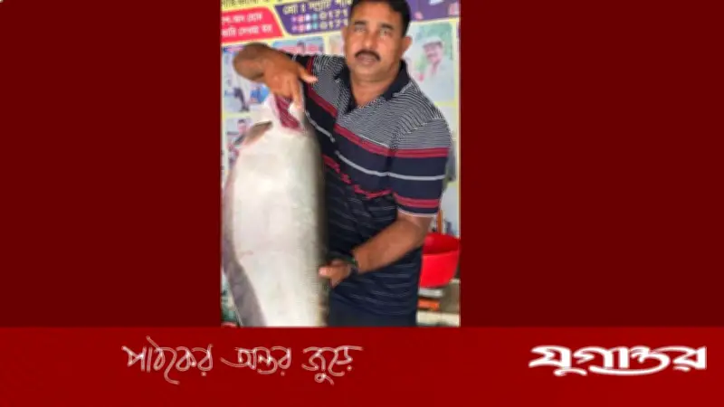 রাজবাড়ীতে জেলের জালে ৯ কেজির চিতল মাছ, দাম ১৪,৪০০ টাকা