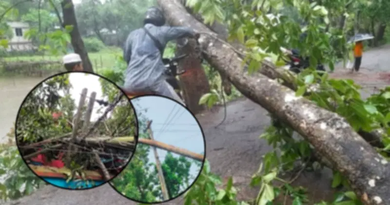 কালবৈশাখী ঝড়ে কুমিল্লায় বিদ্যুৎ ও কৃষির ব্যাপক ক্ষতি