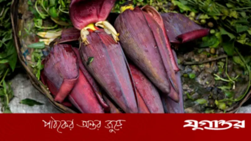 কলার মোচার অসাধারণ স্বাস্থ্যগুণ: পুষ্টি ও রান্নার নানা ব্যবহার