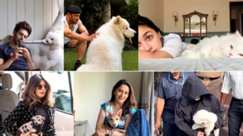 পোষ্যপ্রেমে বুঁদ বলিউডের তারকারা: সালমান থেকে কার্তিক