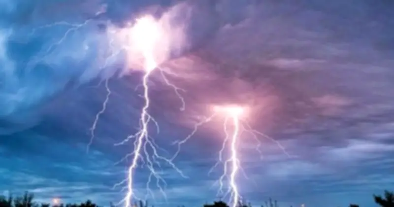 পটুয়াখালীতে বজ্রাঘাতে চারজনের মৃত্যু, নিহত ৩৫ গরু