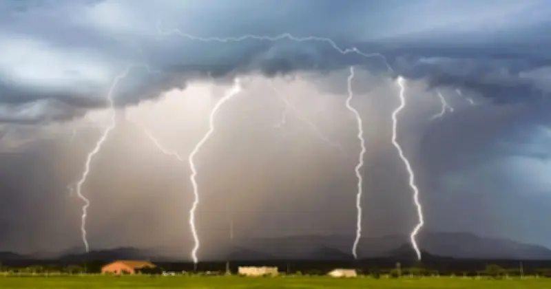 পটুয়াখালীতে বজ্রপাতে চারজন নিহত, অর্ধশতাধিক গরুর মৃত্যু