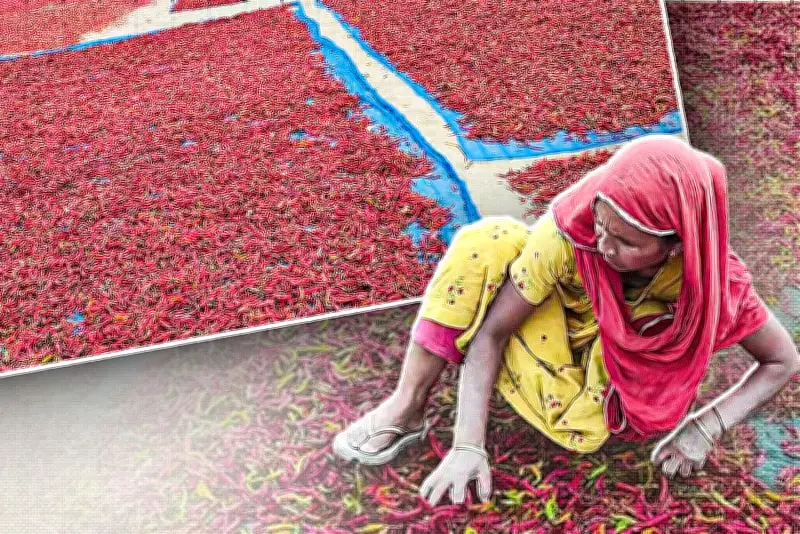 ভিডিওতে ধরা পড়ল বাংলাদেশের অপার সৌন্দর্য