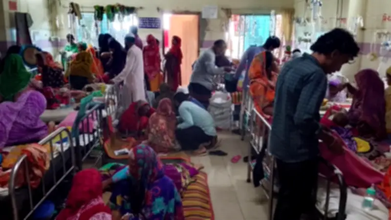 ময়মনসিংহে হামে আরও ২২ শিশু ভর্তি, সাতক্ষীরার নতুন ডিসির মরদেহ আসছে ৪ মে