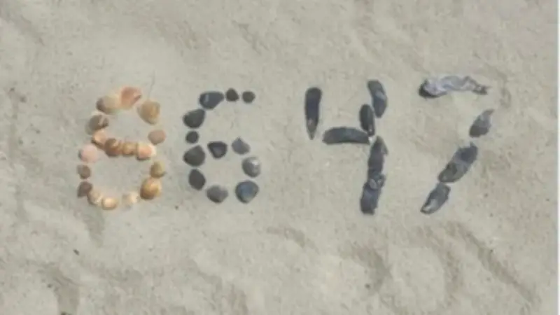 এফবিআই সাবেক প্রধান কোমির আত্মসমর্পণ, ট্রাম্প হত্যা হুমকি মামলায় আদালতে হাজিরা