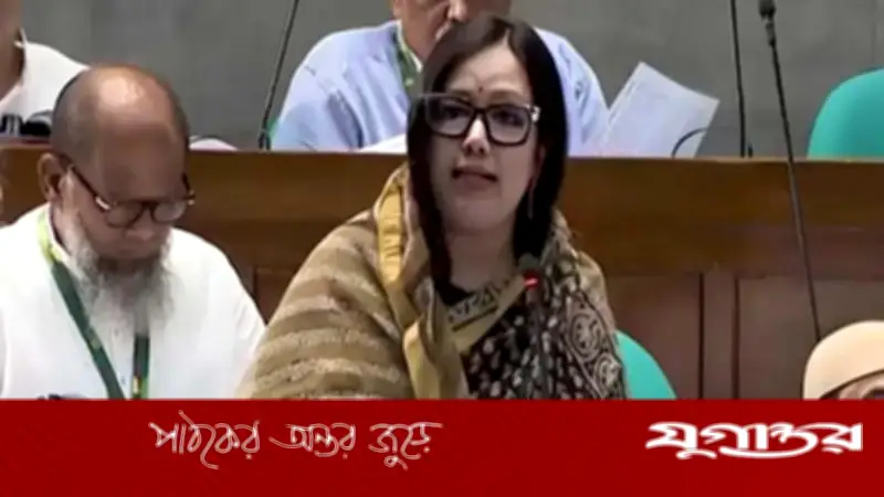 শেয়ার বাজারে ১৫ বছরে লুট ১ লাখ কোটি টাকা: রুমিন ফারহানা