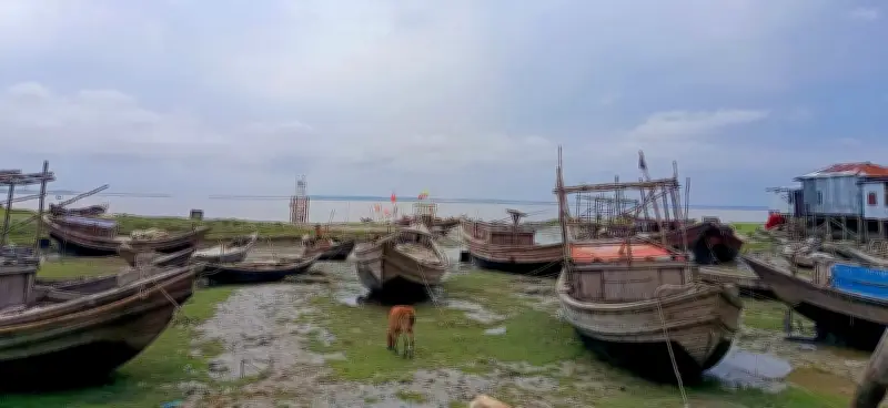 মাছ শিকার নিষেধাজ্ঞা শেষ, তেল সংকটে জেলেরা বিপাকে