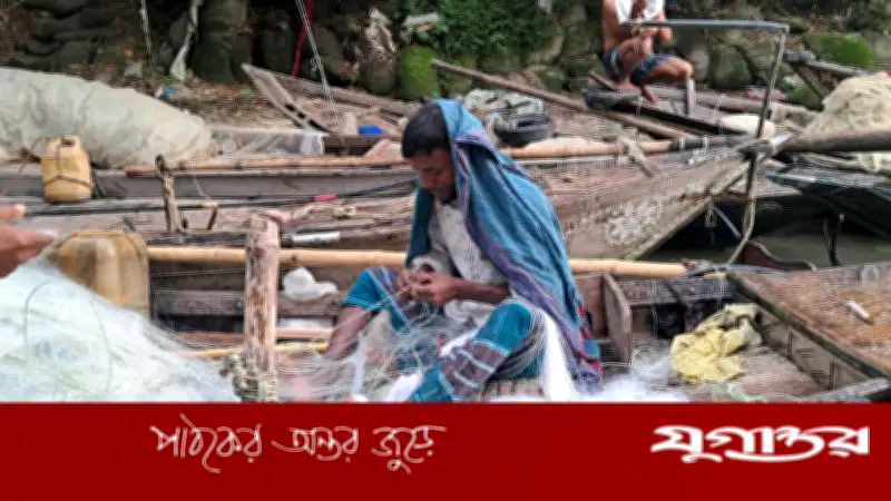 দুই মাস পর পদ্মা-মেঘনায় ইলিশ ধরা শুরু, জেলেরা প্রস্তুত