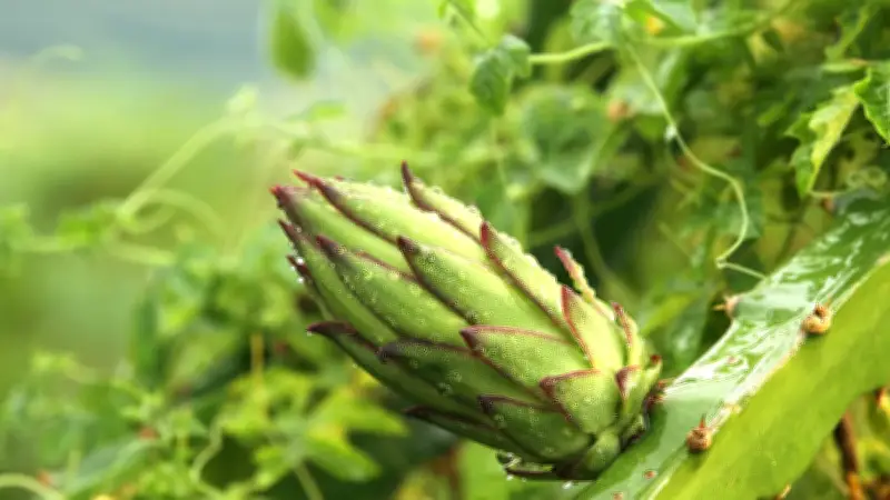 বাংলার প্রকৃতি ও জীবন: ১১ ছবির গল্প