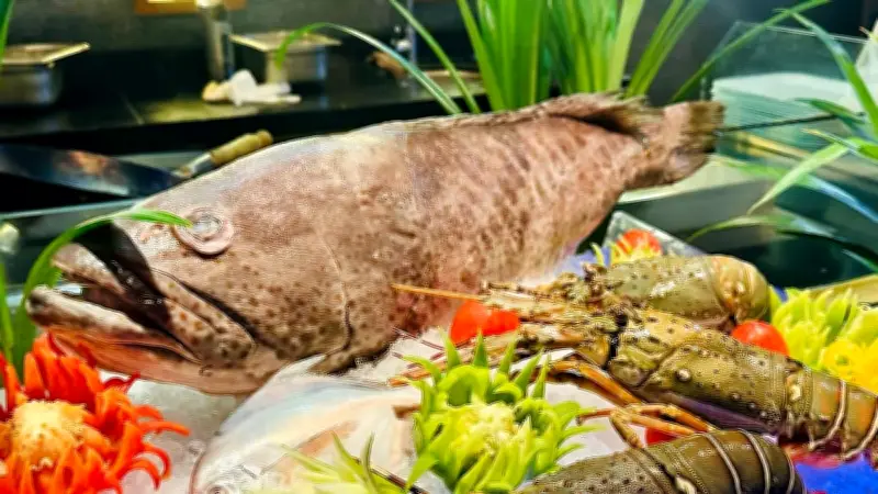 বিশ্বের দীর্ঘতম ফ্যাশন শো: হাল ফ্যাশনের নতুন রেকর্ড