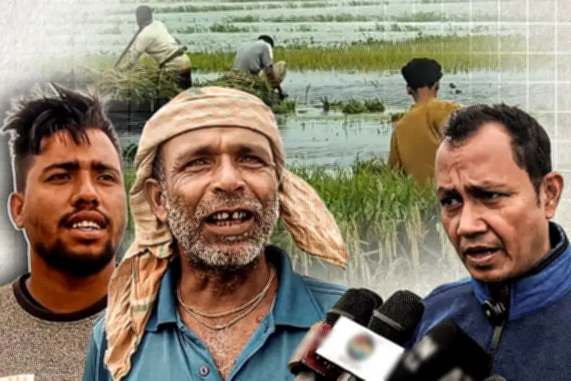 ঢাকায় বাসচাপায় নিহত ২, আহত ১০