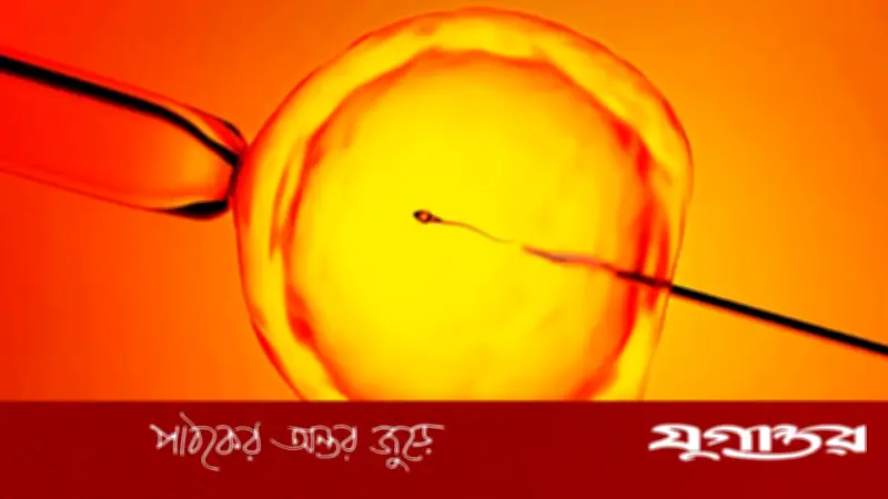 বন্ধ্যা পুরুষের পিতৃত্বের আশা: এআই প্রযুক্তি স্টার সিস্টেম