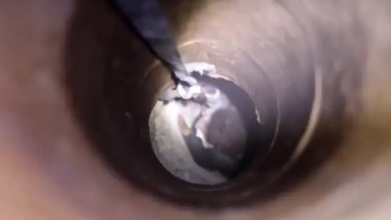 আলোচনায় বসতে রাজি নয় রাশিয়া, ইউক্রেনে হামলা অব্যাহত