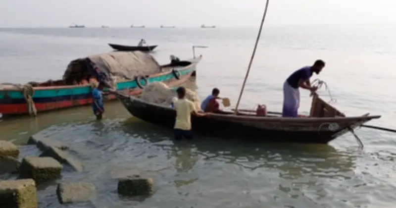 জাটকা রক্ষায় নিষেধাজ্ঞা শেষ, চাঁদপুরের জেলেরা মাছ ধরায় নেমেছেন