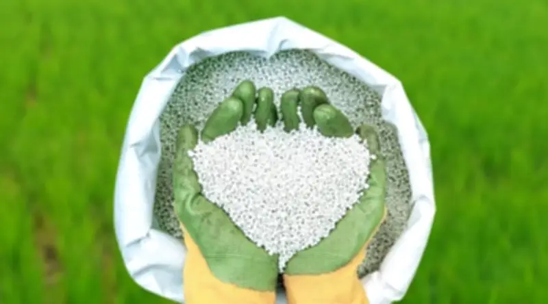 হরমুজ প্রণালি বন্ধে সার সংকটের আশঙ্কা, নতুন উৎস খোঁজা হচ্ছে