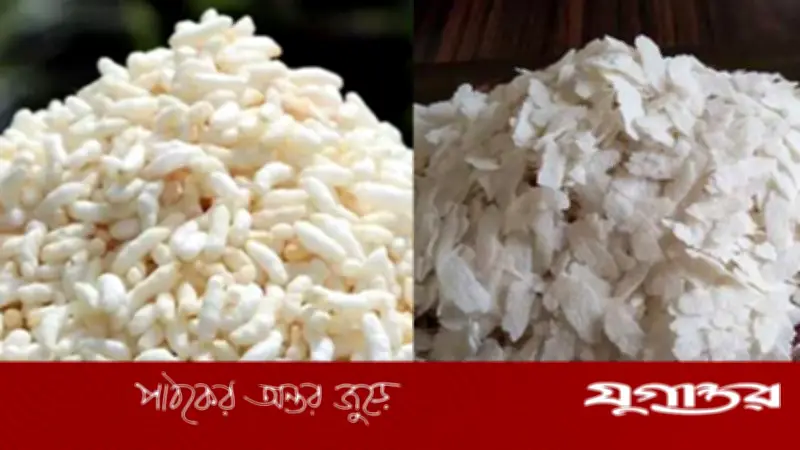 মুড়ি না চিড়া: কোনটি স্বাস্থ্যের জন্য বেশি উপকারী?