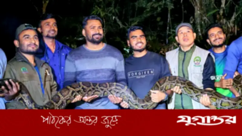 মৌলভীবাজারে ১৪ ফুট লম্বা অজগর সাপ উদ্ধার, লাউয়াছড়া উদ্যানে অবমুক্ত